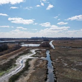 Mitigation Sites Removed Fill at East Branch Pines River